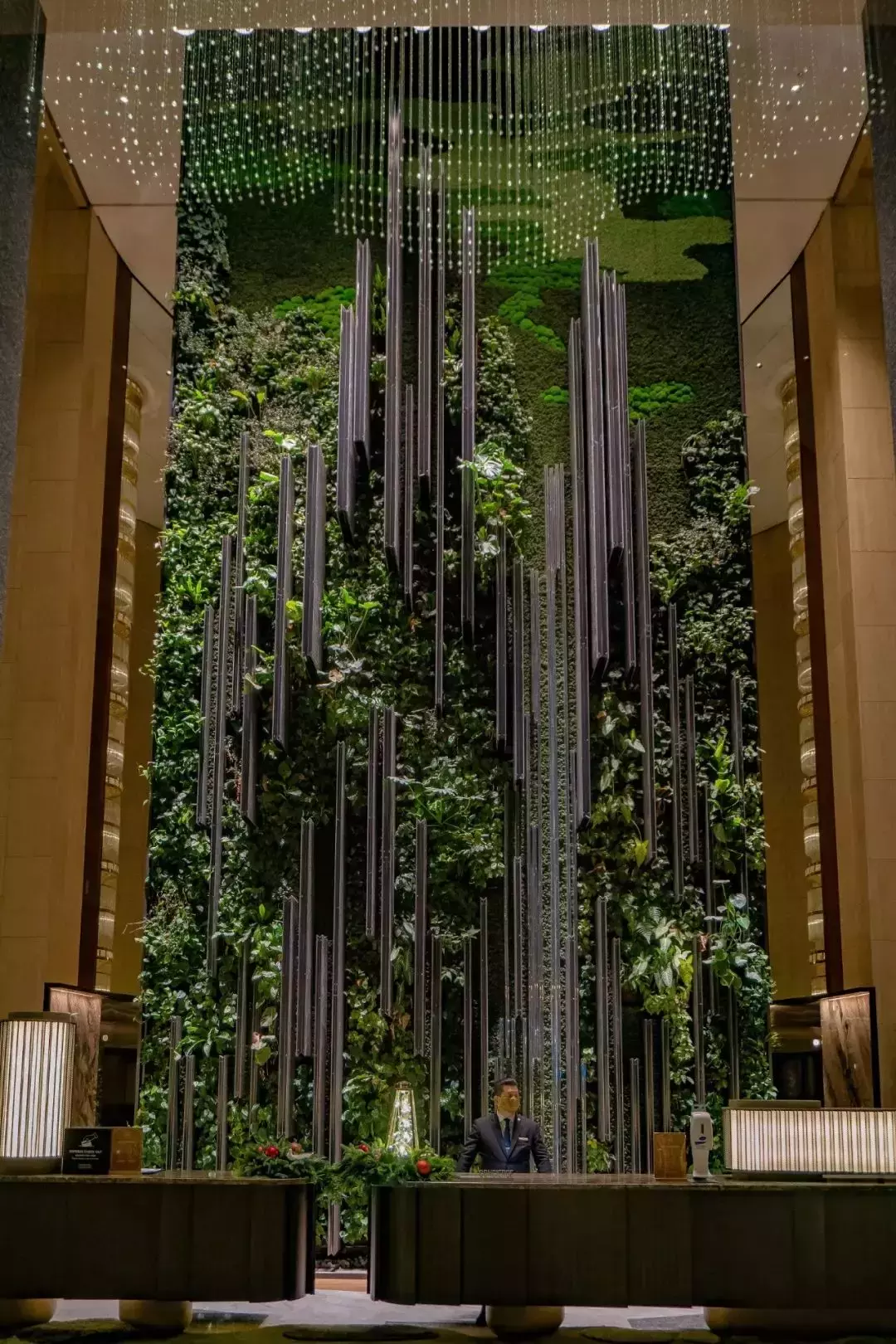 拥有2400多种植物,还有小鸟生活,新加坡这家酒店太美