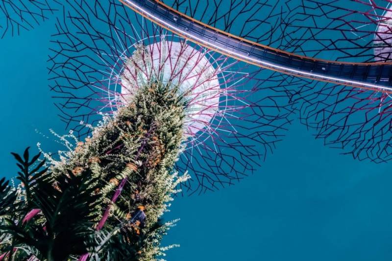 “明天就回國了!今晚,我突然想起在新加坡的50個第一次!”