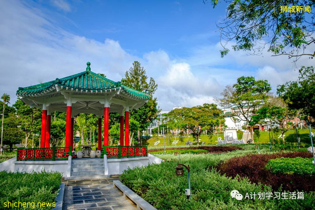 新加坡各类学校学费汇总(AY2020/21)