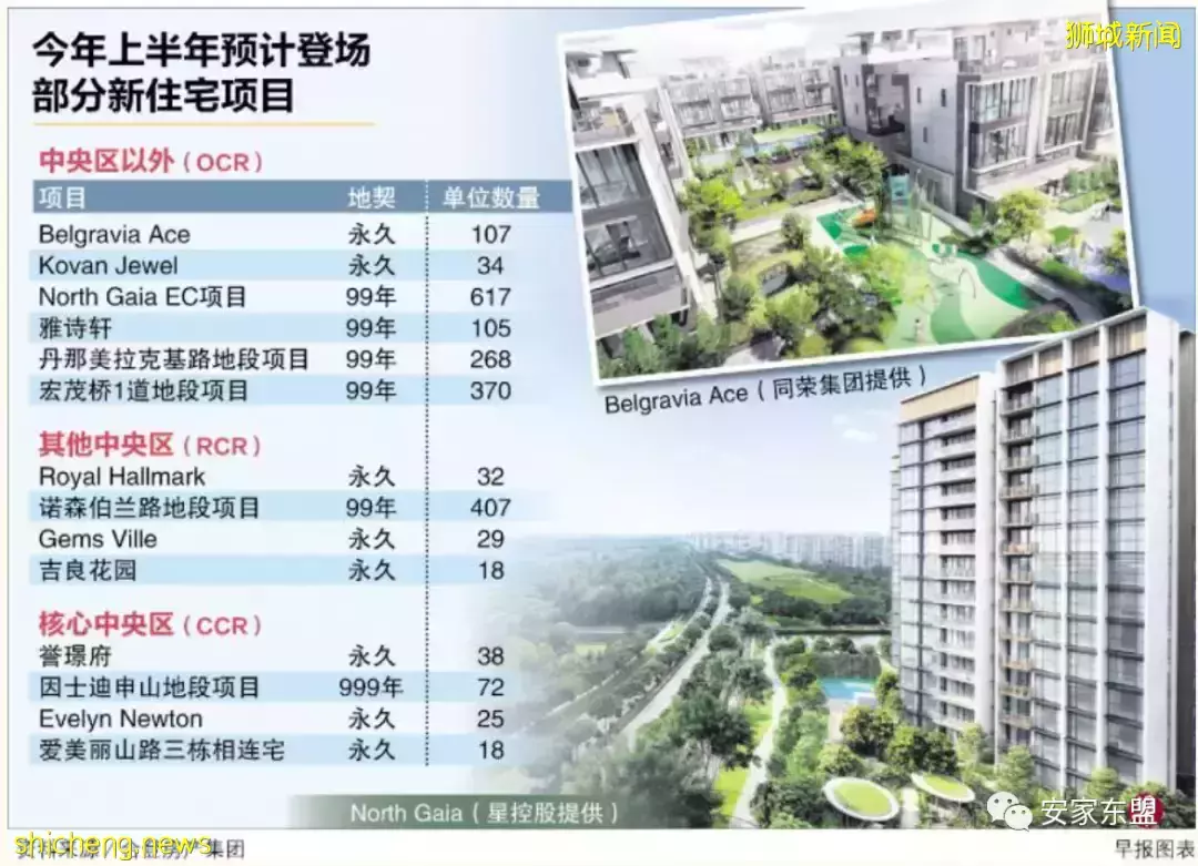 鑫悅府Normanton Park一年賣了88%，還剩224間，3月5日又將起價，手慢無