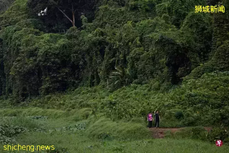 2030年,新加坡人人走路10分钟就能到公园?先去感受一下