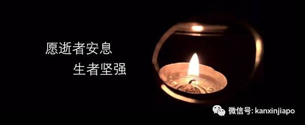 今增10！不能出國，但能出海！新加坡下月開放無目的地航遊