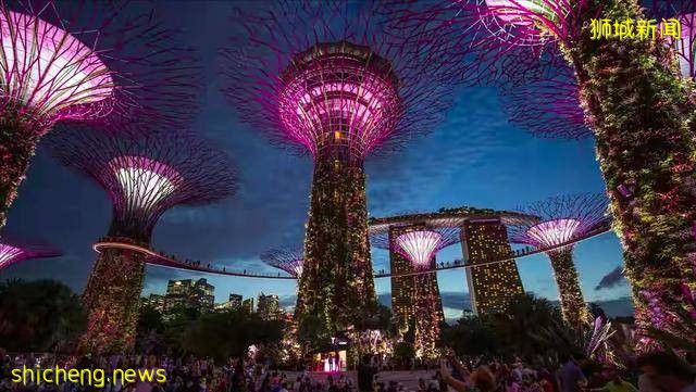 那些奇奇怪怪的知識（新加坡上）