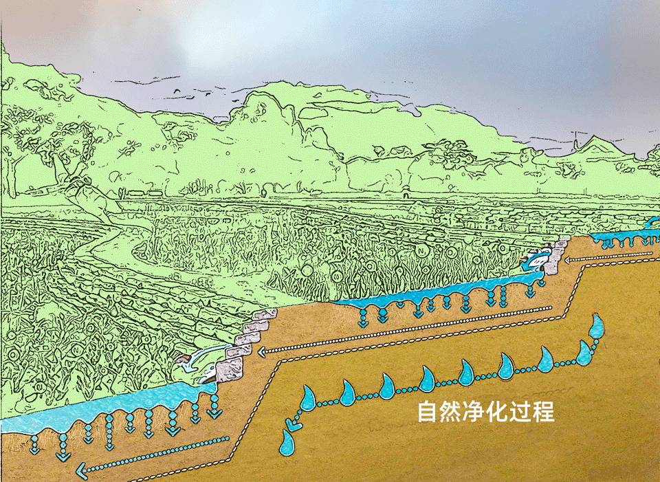 城市綠道，新加坡的“軟實力”