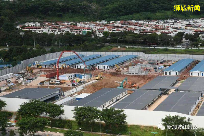 趕在8月7日完成所有客工宿舍冠病檢測　新加坡5天來單日病例激增