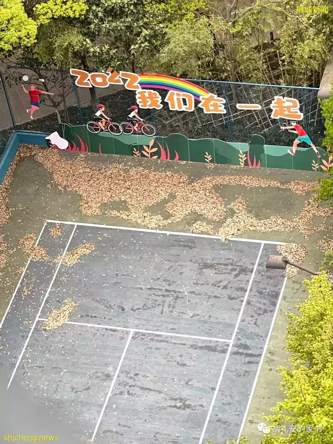 “从新加坡回到上海,封锁一再延长,我被卷入了这场前所未有的大事件”