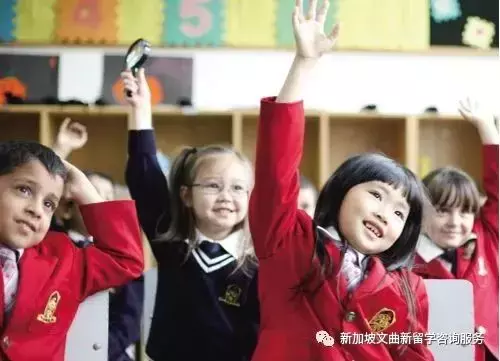 新加坡成低齡留學生的“香饽饽”，爲什麽越早越好