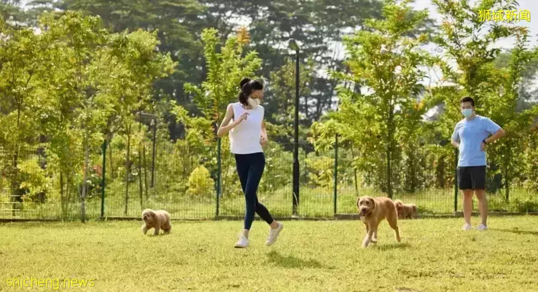 戶外徒步新去處！新加坡新開的7個公園你都遛過了沒
