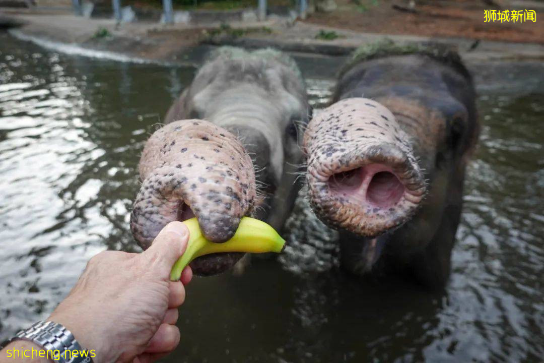 母親節偶遇李顯龍一家聚餐！這些地方，你也可以邂逅新加坡總理