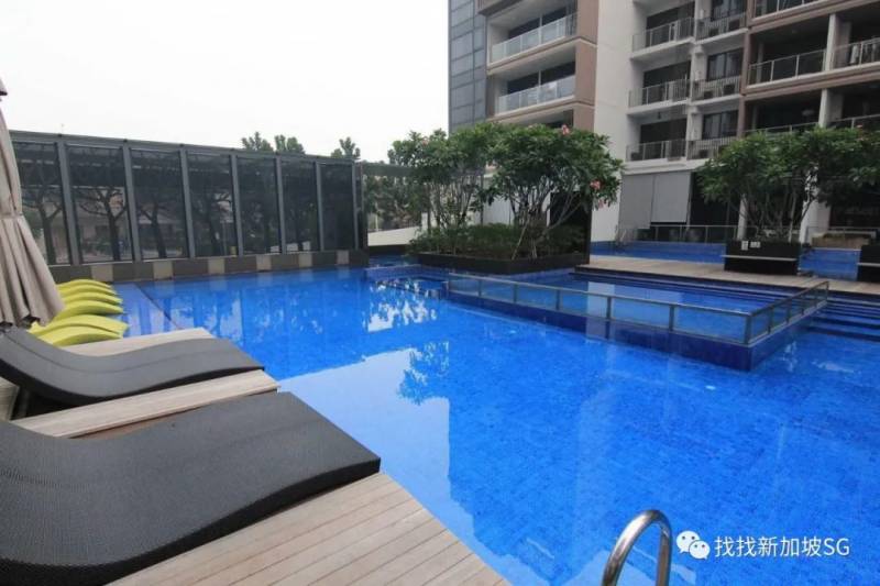 备受留学生宠爱的波动巴西,到底有什么吸引人的地方