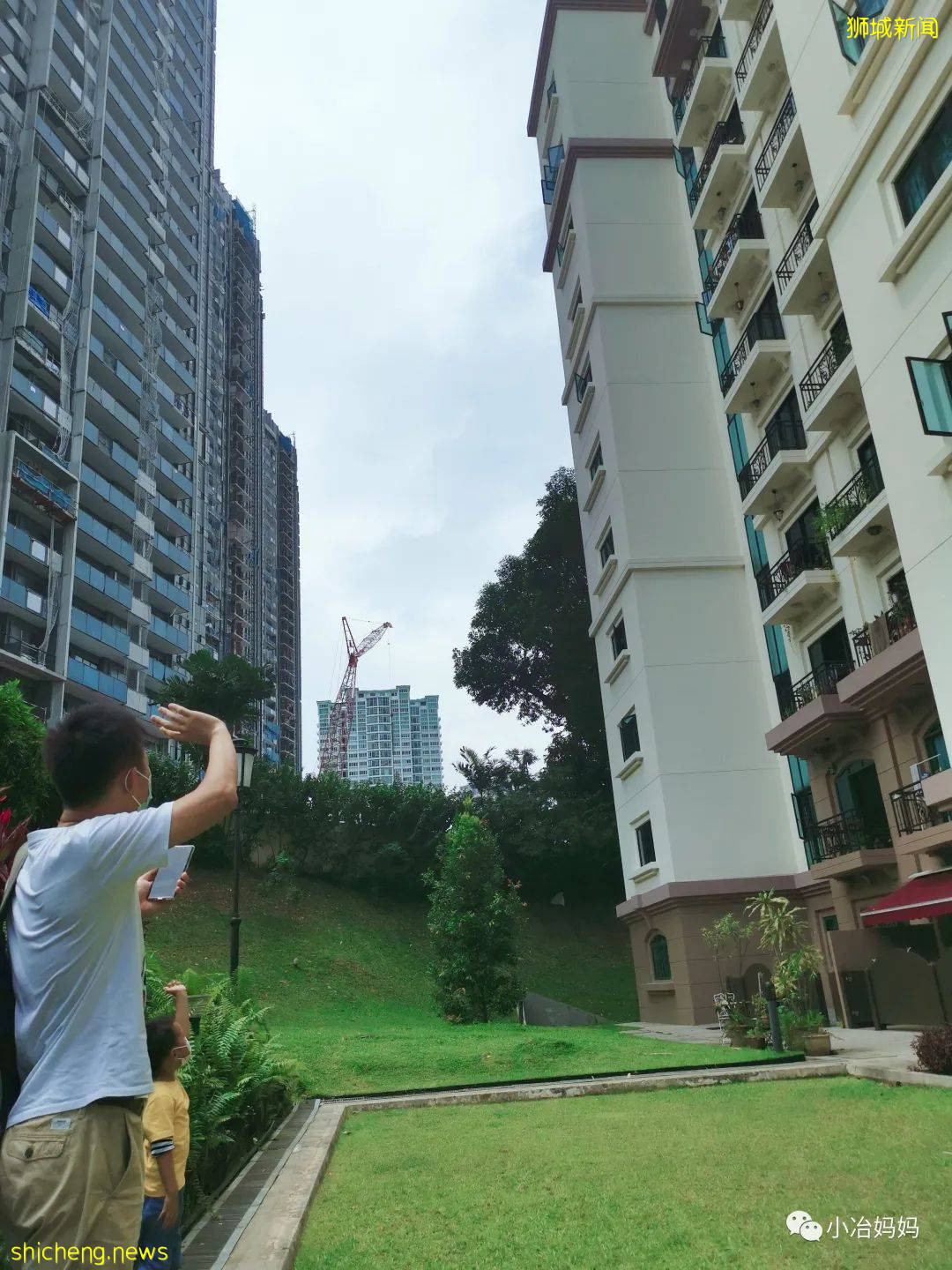 結束11年新加坡的生活!我懷孕帶著5歲的娃回了中國又移民澳洲!這瘋狂又神奇的旅程