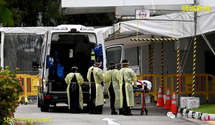 3174例，14人死，新加坡上千名確診者撥995熱線求救，官方呼籲輕症在家康複就好​