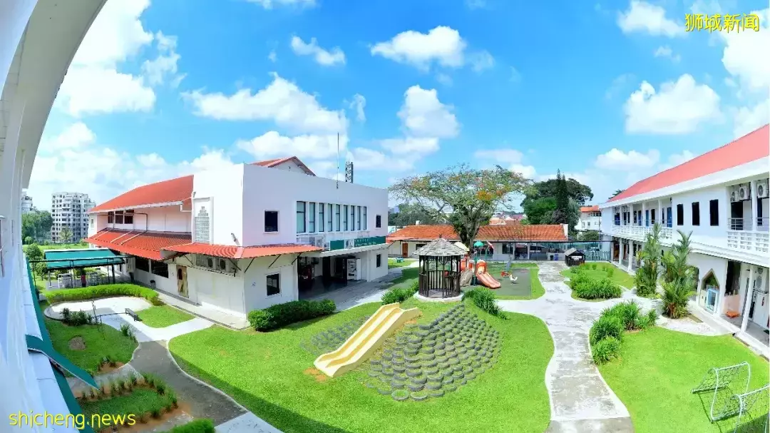 “我毕业于中国985名校,为什么在新加坡读个大专?”