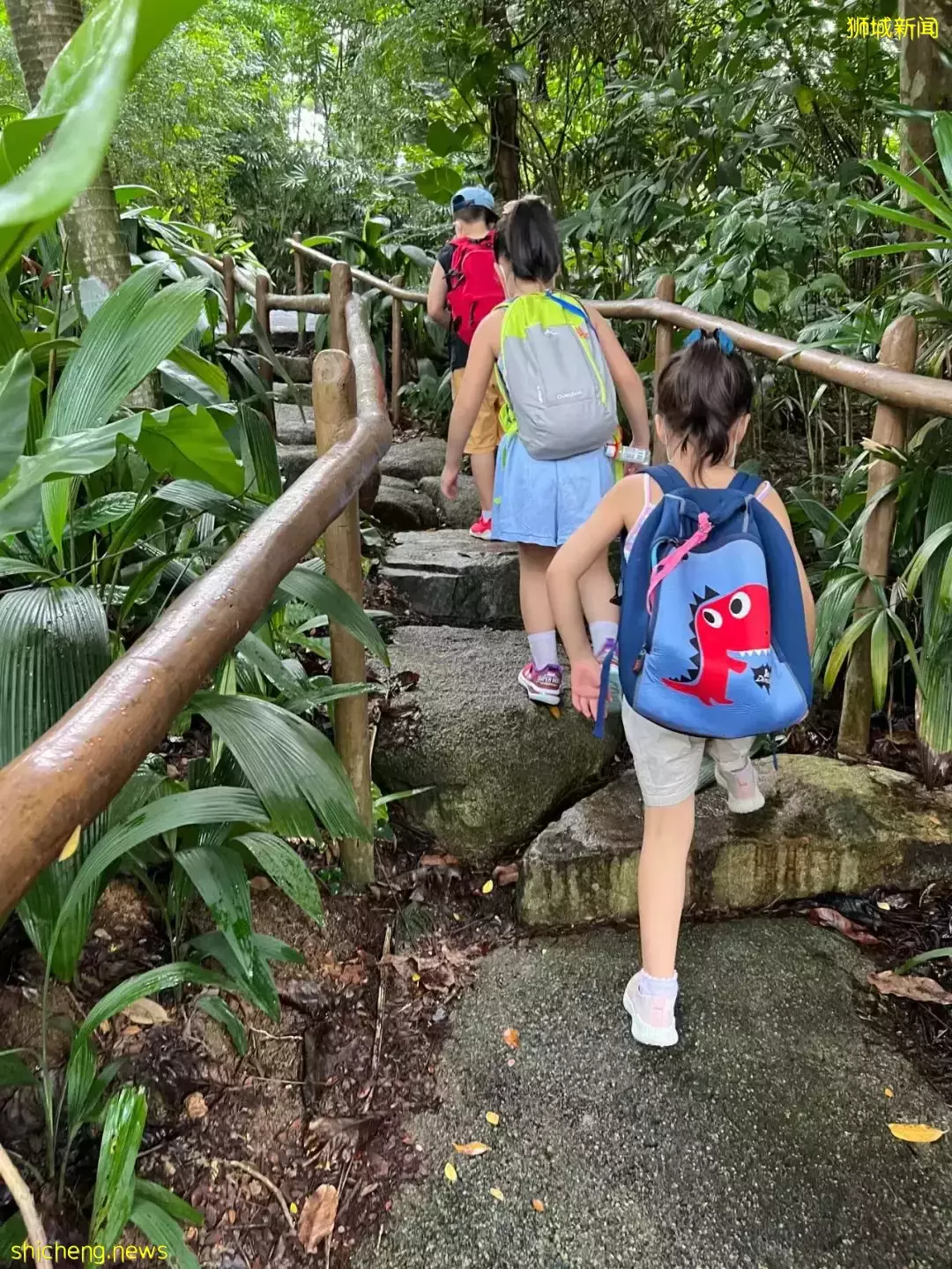 台灣出現兒童死亡病例！新冠輕症也有後遺症？新加坡3娃媽現身說法