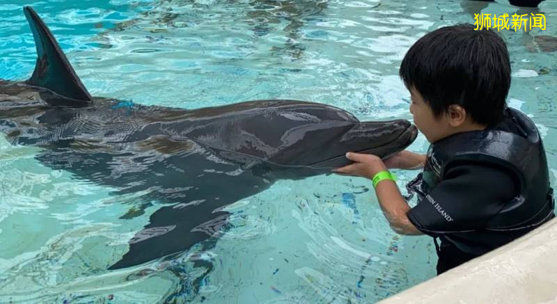 还有多久可以旅行?先来复习一下新加坡