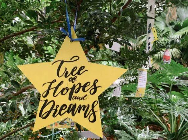 新加坡1月5日前將會結束的本地特色活動，長周末可以約起