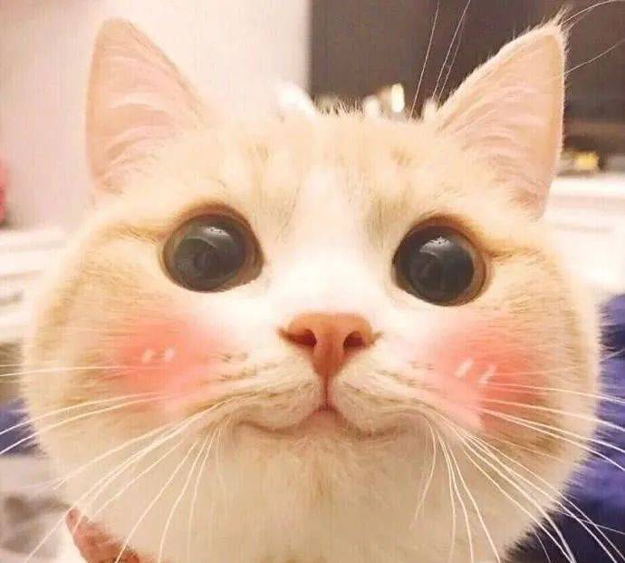 “無目的地”航班怕是救不了新航