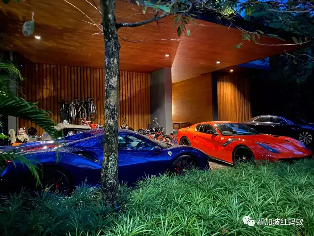 及时行乐心动就买？　新加坡顶级豪车市场2021年销量激增近40%