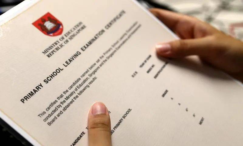 新加坡议员呼吁政府进一步促进教育制度多元性，包括试行免考小六离校考试