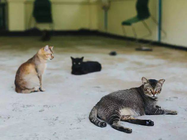 “明天就回國了!今晚,我突然想起在新加坡的50個第一次!”