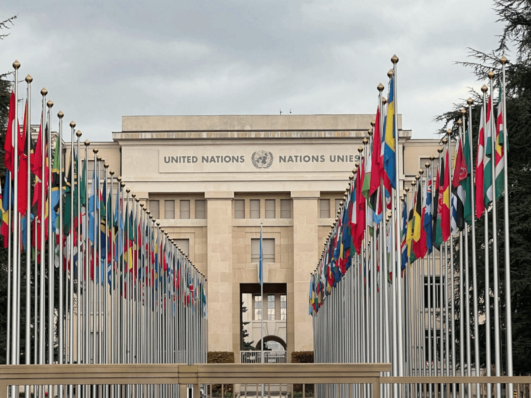 中国护照想从新加坡去欧洲玩，如何申请？14天深度法国游攻略