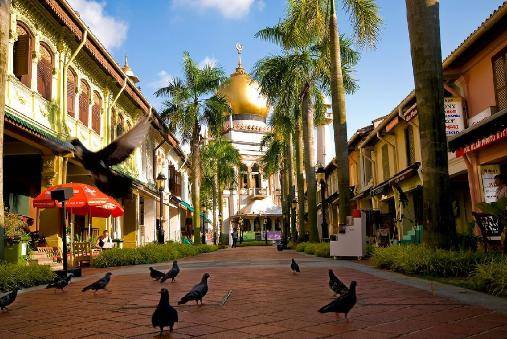 一座城，一个国，你是这样的新加坡