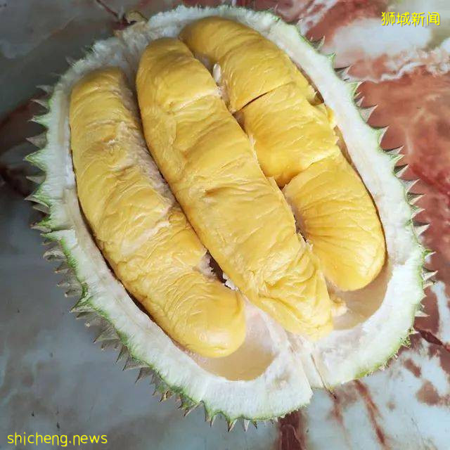 新加坡美食攻略之 -----榴梿篇