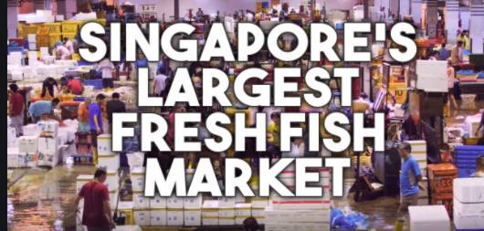 新加坡最有特色的巴刹市場有哪些？一起來看看吧