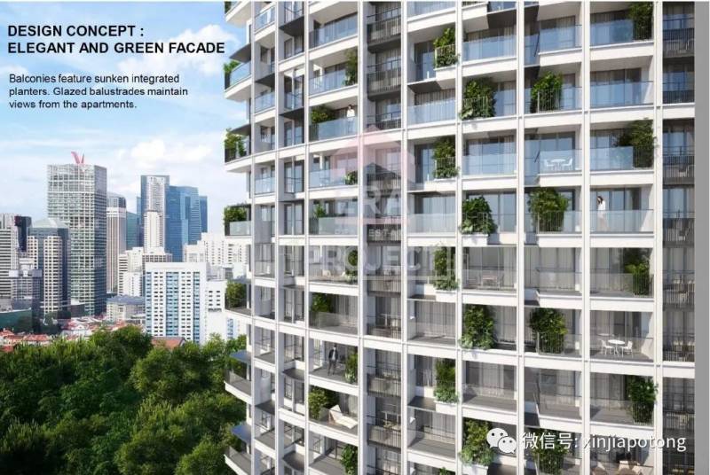 新币兑人民币暴跌!听说这几天入境新加坡的中国“游客”,可能是为了这件事