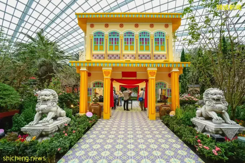 滨海湾花园富贵牡丹花卉展来了!与本地博物馆同时展出古董文物,值得一逛👍