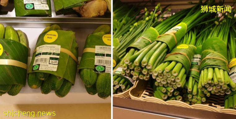 德國、美國肉類工廠確診破1000、百事中國8人確診!新加坡進口食品還安全嗎!