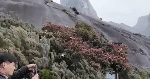 活久見! 新加坡鄰國下起了鵝毛大雪,29年頭一次