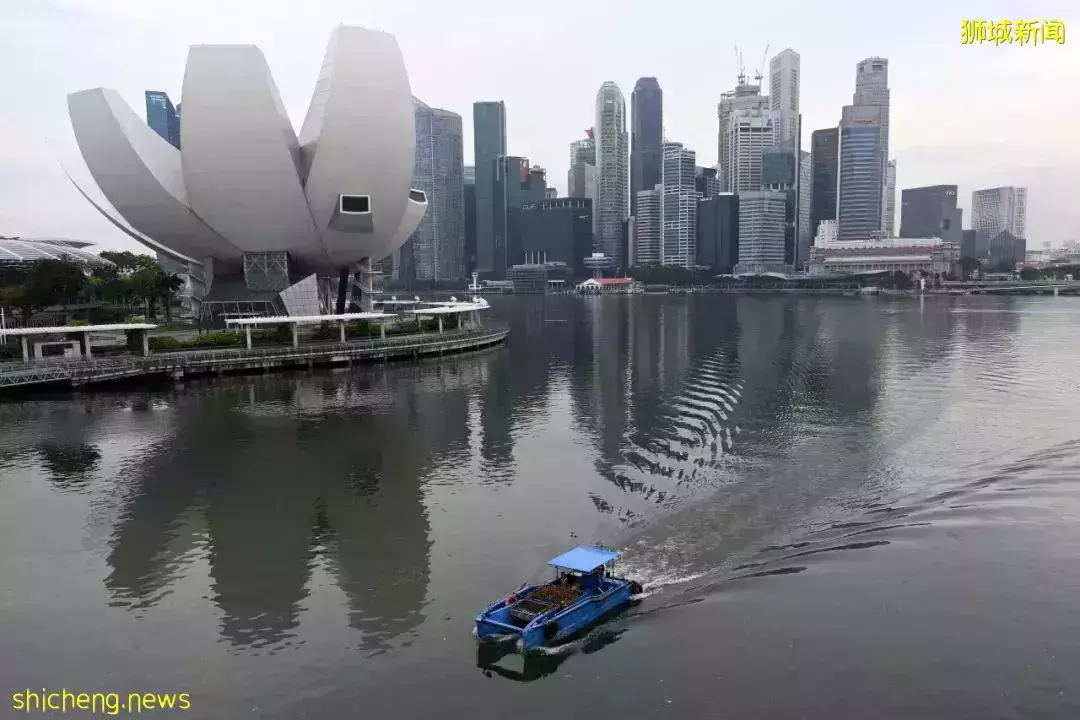 疫情下,新加坡的职场生活变得更艰难了