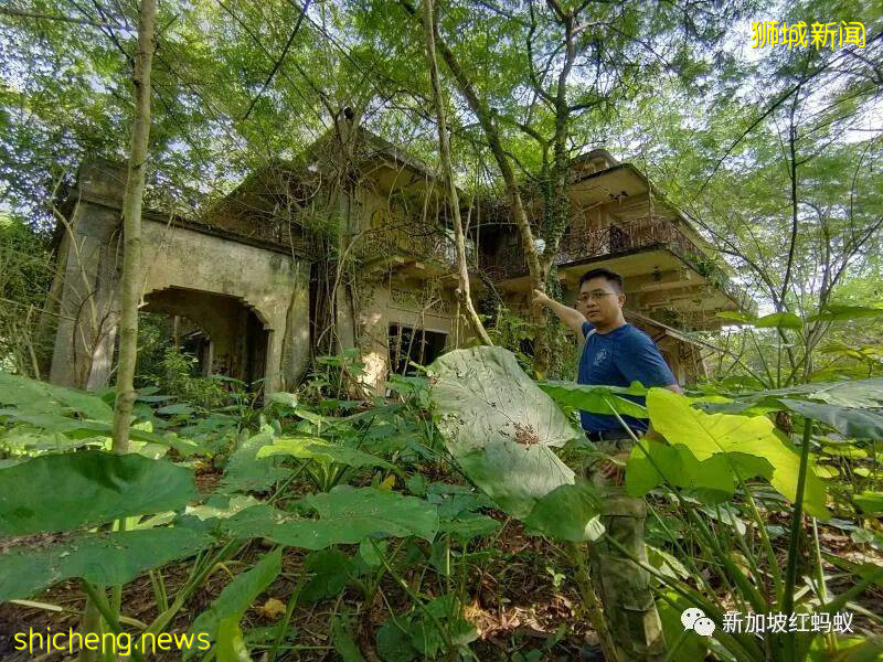 新加坡这些别有洞天的小众景点 稍不留神就会错过