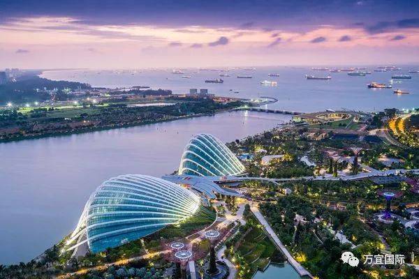 新加坡推出全新准证!神级的申请条件!你知道是为谁而设的吗