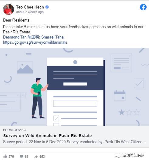新加坡有多民主? 野鸡、流浪狗和野猪的去留,须由区内居民投票表决
