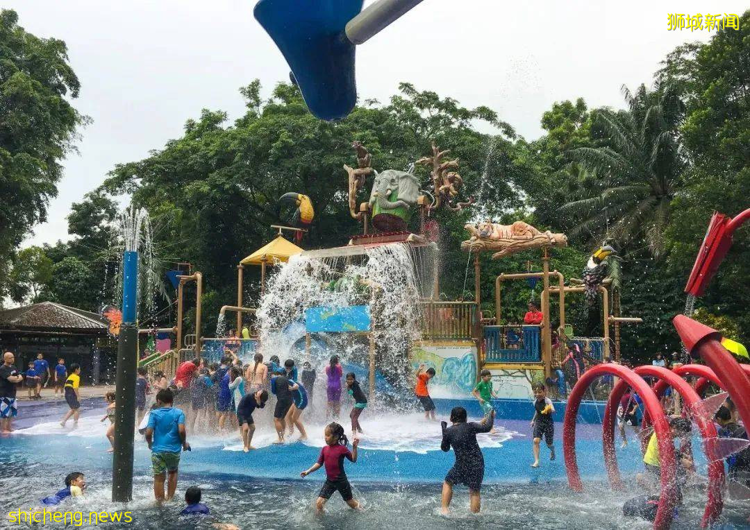 新加坡动物园大！升！级！雨林探险、动物互动，6园合1超期待