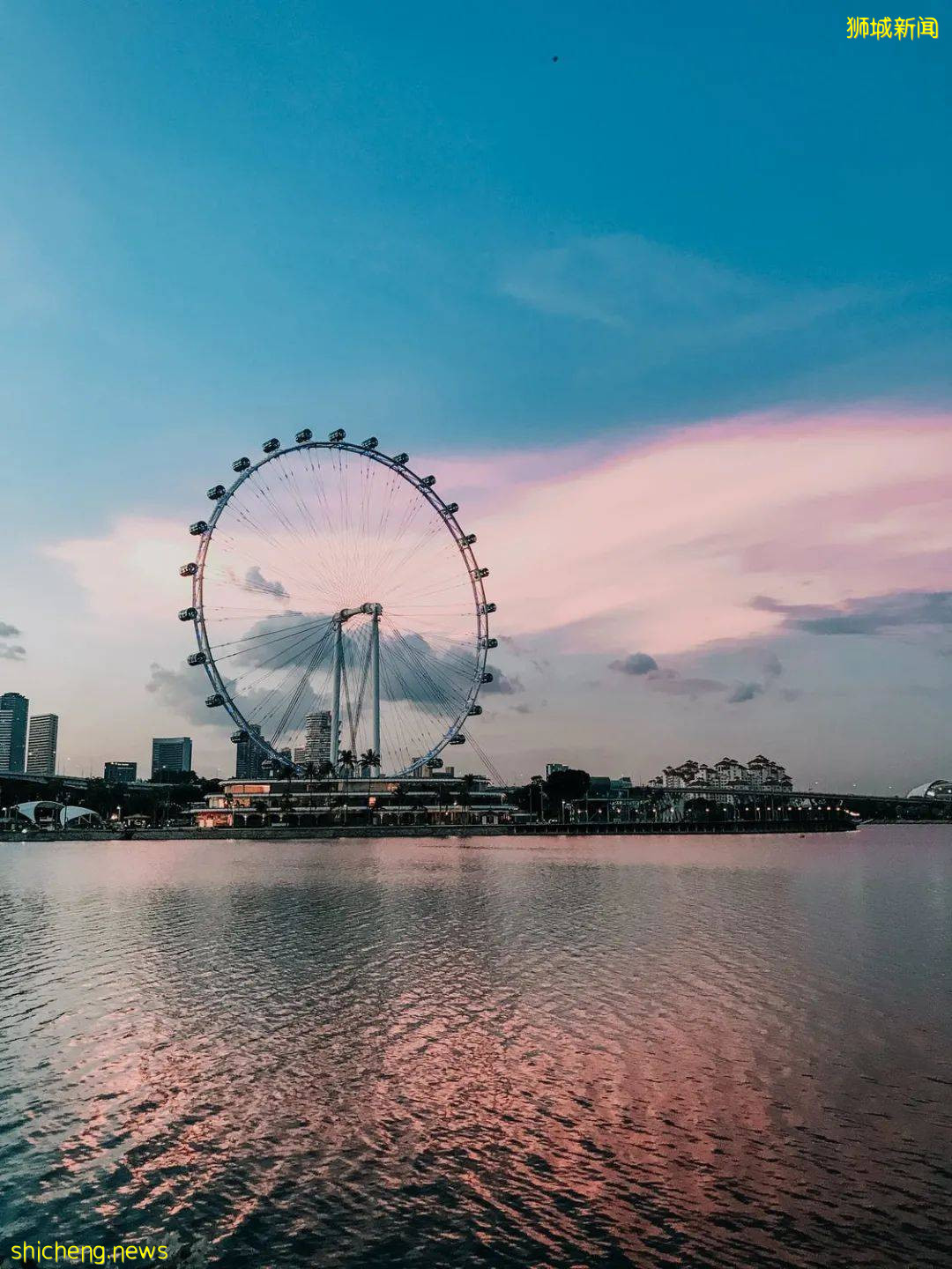 新加坡再次解封後，這家中國超市火了！80多種海鮮$2起！小龍蝦辣條包點東北大米扛回家