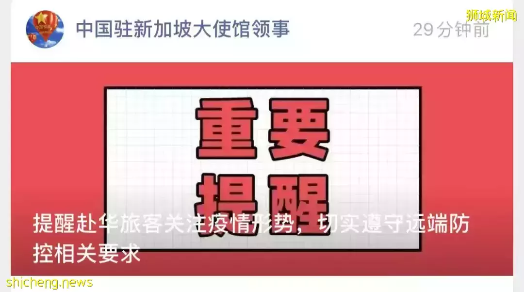 提醒！駐新加坡大使館：有人虛假申報、疫情穩定後再回國！網傳入境中國只要"居家隔離"