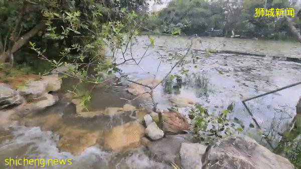 实拍！滨海湾花园新景点+圣淘沙首个“天空喜立”开放