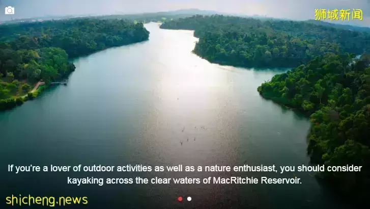 The Whitley Residences【現樓發售！新加坡 核心中央區 稀有永久地契 獨立式住宅 百年名校英華小學】