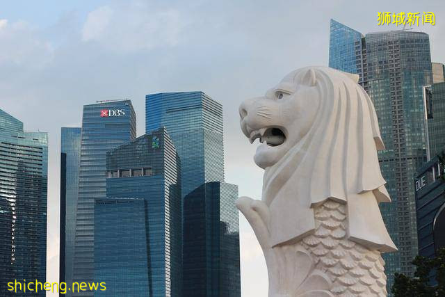 新加坡移民后孩子们可以接受哪些教育