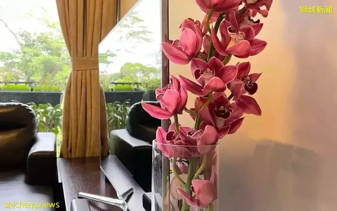 鮮花在熱帶也能養1個月？資深花友新加坡買花、養護大揭秘