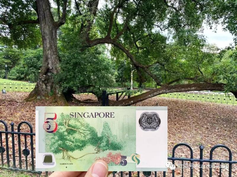 抢钱咯,新加坡钱币的传说