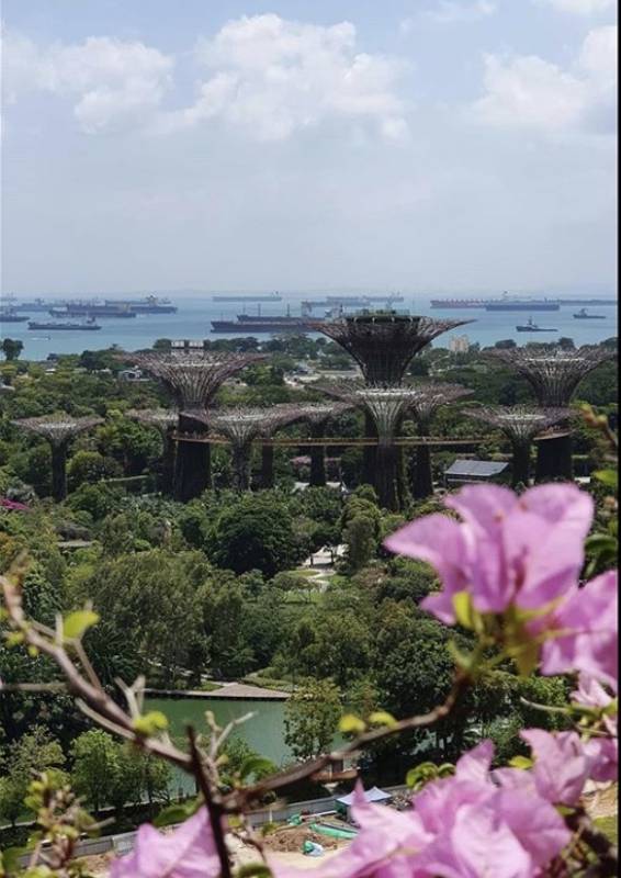 疫情過後，新加坡更讓全世界羨慕