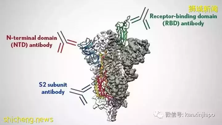 反反複複，新冠病毒生命力爲什麽如此“頑強”