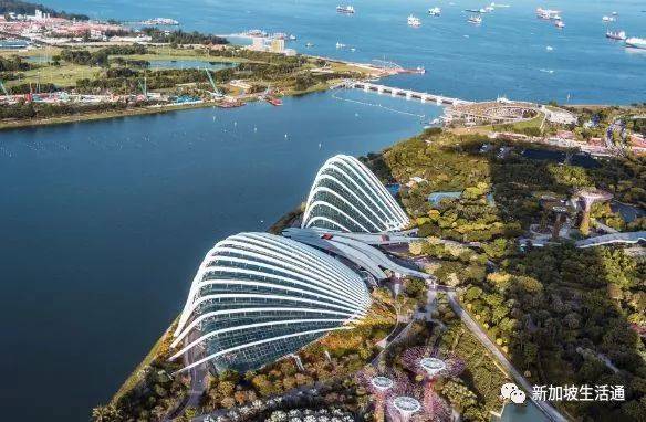 新加坡人习以为常，中国人却难以理解的事情！如不知道这些，罚款是小事，判刑就惨了