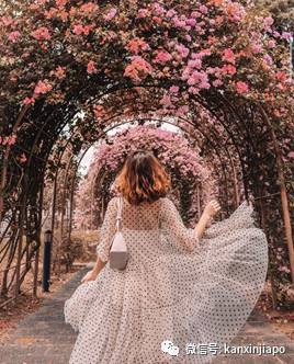 免费网红打卡胜地,你去过几个