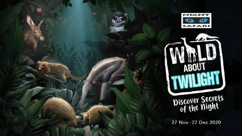 【下周活动】ZARA六折、Magnum买一送一,日式喷火拉面降临乌节路