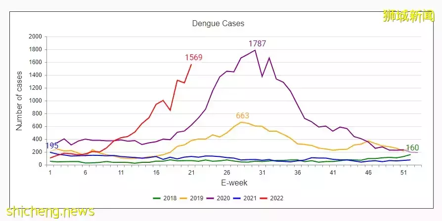 6月骨痛熱症曆史高峰!新加坡每周出現超2000多起病例